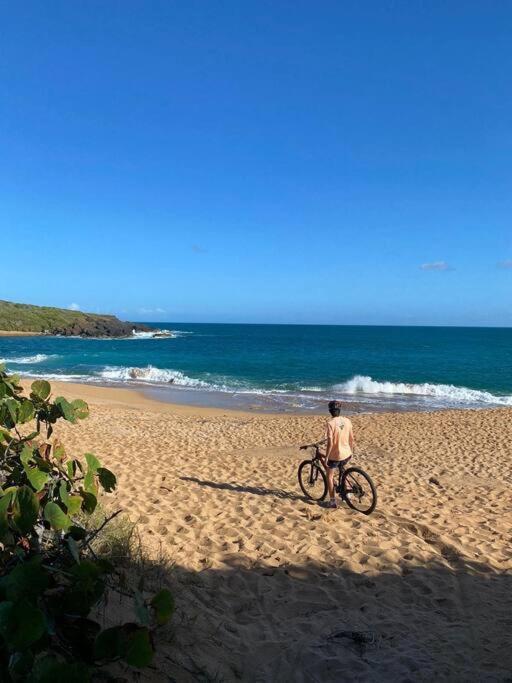 Sunset View Apartment In A Great Location Fajardo Exteriör bild
