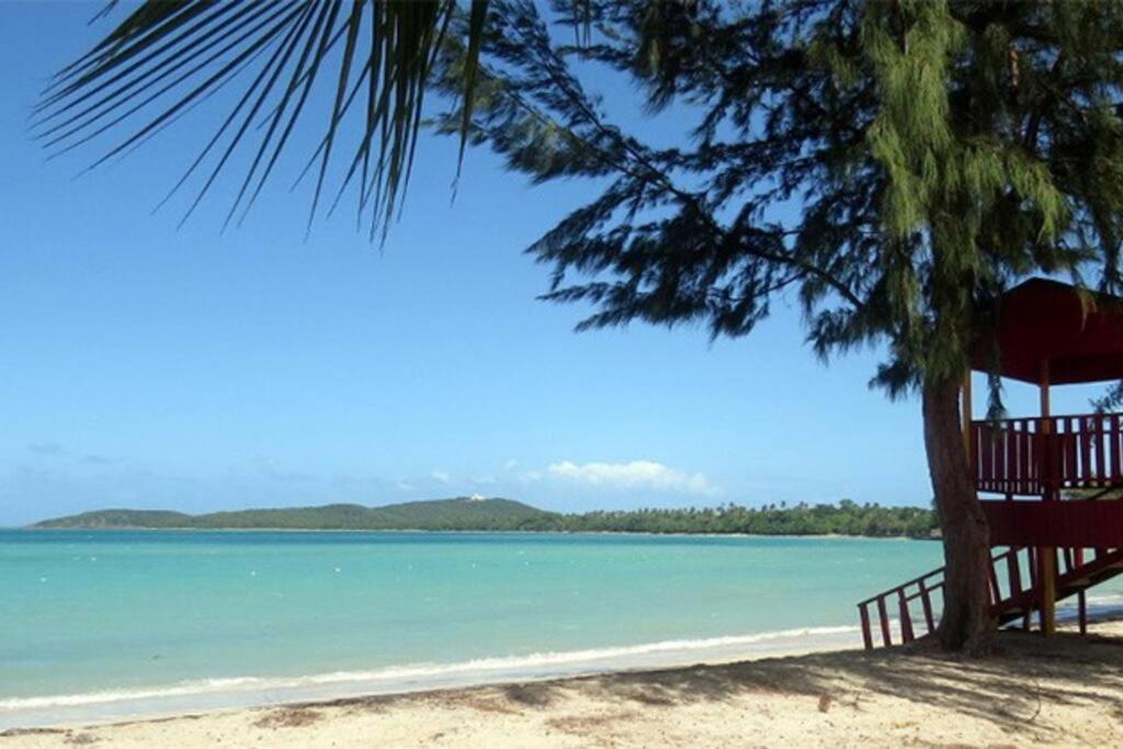 Sunset View Apartment In A Great Location Fajardo Exteriör bild